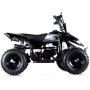 Mini ATV 49 cc benzin | Special Edition | Sort